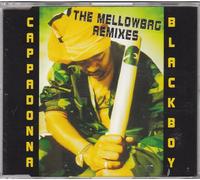 Cappadonna - Black Boy Remix