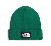 CAPPELLO THE NORTH FACE NF0A8CHENL11 TNF LOGO BOX EVERGR