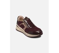 Caprice 23300-44 40 Burdeos