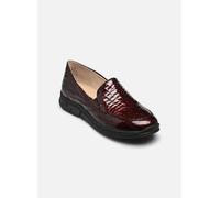 Caprice 24651-43 37 Burdeos