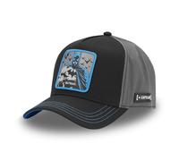 CAPSLAB HFT Gorra Trucker Freegun DC COMICS BATMAN ROBIN Meme Gorra