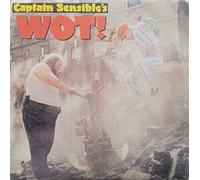 CAPTAIN SENSIBLE - Wot / Strawberry dross (Frankreich) / AMS 9228