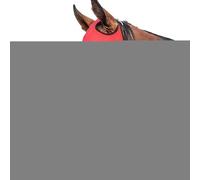 Capucha Intermitente para Caballos: Protector Ocular De Malla Transpirable, Cubierta para Máscara De Entrenamiento Equino, Equipo De Control De Visión, Equipo De Protección para La Cabeza De E