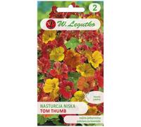 Capuchina baja Tom Thumb mezcla