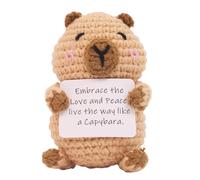 Capybara Genérico de ganchillo | Capybara Tejido, decoración de peluche inspiradora con tarjeta de mensaje motivadora para oficina, hogar, cumpleaños, fiesta
