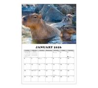 Capybara Wall Calendar - 2026 Monthly Planner, Cute Illustrated Schedule with Thick Paper Pages, Julian Date Markings, Classroom Meeting Time Management Tool, Indoor Planning Display