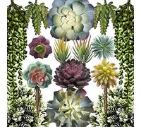 caqpo Suculentas Artificiales, Paquete de 15, Plantas suculentas Artificiales sin Maceta y con Textura Realista para Bricolaje, Plantas de Cactus Artificiales a Granel, Plantas suculentas feaux