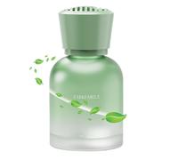 Car Air Freshener, Natural Plant Air Freshener, Fragrance Diffuser Accessories, Perfume Style Car Air Freshener Vent Clip, Strong Car Perfume Air Freshener, Easy To Use, Portable for Truck