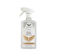 Car Gods Cronus Holy Water Secret Shield Polaco con rivestimento Nano idrofobo, 500 ml