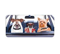 Car Shade Front Windshield,Windshield UV Blocking Cover Sunshades | Automotive Types, This Sunshade FitsCartoon Cute Sun Blocker For Hot Weather Heat Travel Parking Trucks RV Outdoor Activities