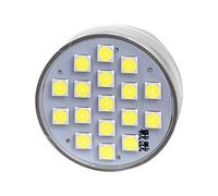 Car Taillight Bulb | LED Standard Base Tail Light Bulb