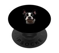 Cara Bostie de perro Boston Terrier negro PopSockets PopGrip Adhesivo