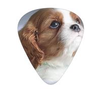 Cara de Cavalier King Charles Spaniel,12 púas de guitarra, 3 grosores diferentes para guitarra acústica, bajo y ukelele