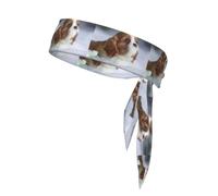 Cara de Cavalier King Charles Spaniel, Cinta para la Cabeza, Diadema Deportiva con Lazo, Cinta para el Sudor Multiusos para Hombres y Mujeres.
