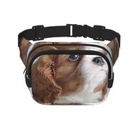 Cara de Cavalier King Charles Spaniel,Riñonera Cuadrada de Doble Capa, Bolso de Viaje, Bolso Informal para el Pecho.