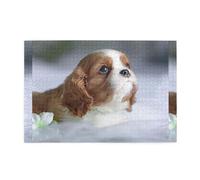 Cara de Cavalier King Charles Spaniel, Rompecabezas de 1000 Piezas, Rompecabezas de Madera para Toda la Familia, decoración de Pared para Adultos y Adolescentes.
