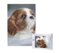 Cara de Cavalier King Charles Spaniel,Rompecabezas de Madera de 1000 Piezas para Adultos y Adolescentes.