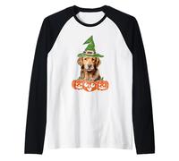 Cara de Perro Golden Retriever Labrador Halloween Divertido Amante de Las Mascotas Camiseta Manga Raglan