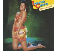 Cara, Irene - What A Feelin'