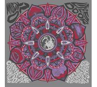 Cara & Mike Gangloff with the Great American Drone Orchestra - Knock On Life's Door [Vinilo]