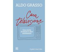 Cara televisione. Una storia d’amore e altri sentimenti (Temi)