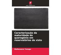 Caracterização da maturidade do querogénio em reservatórios de xisto