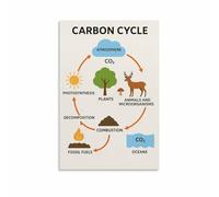 Carbon Cycle Science Poster - Earth Ecology Infographic, Eco Friendly Educational Wall Art for School, Library, Home Office Decor (Unframed,12x18inch(30x45cm))