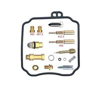 Carburador Carb para DAELIM para Forte 125 NS125 NS I II III para OTELLO Kit Reparación Carburador Kit Reconstrucción Diafragma Émbolo Y Flotador Carburador Kit Carburador(Repair Kit)