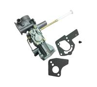Carburador compatible con Briggs y Stratton de 5 HP (498298, 692784, 495951 495426)