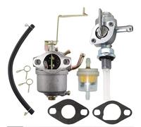 Carburador con junta de filtro de gasolina, manguera de combustible para Einhell STE 800, STE 8000/1, STE 800/1, STE 850 BT-PG850/2 BT-PG850/3 generador de energía