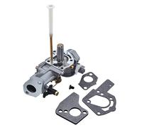 Carburador con Junta para Briggs & Stratton 498298 692784 495951 492611 490533 495426 Motor