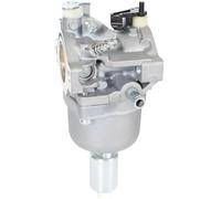 Carburador del vehículo Para Craftsman para Briggs para Stratton Nikki Carburador Combustible para Manguera Filtro