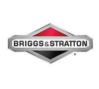 Carburador ORIGINAL BRIGGS & STRATTON 596102