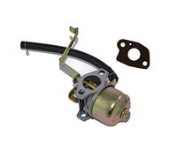 Carburador para Matrix D-PG 1000, Scheppach SG950, Einhell PT-BG 850.