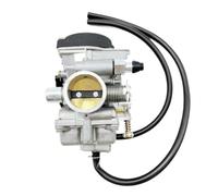 Carburador PZ30 de 30 mm compatible con motores JS250, BASHAN250, JIANSHE250, ATV, Quad y Go Kart.