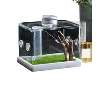 Carcasa de spinner, tanques de cría de peces, Spider Cage, Fish & Aquatic Pets Breeding Tanks, reptiles & Amphibian Supplies Recinto Accesorios para uso doméstico