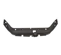 Carcasa Delantera BLIC Compatible con TOYOTA RAV4 III 11.05-02.09