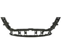 Carcasa Delantera Soporte Compatible Para FORD USA Mustang Coupe