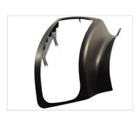 Carcasa, Faro delantero PACOL RVI-HLC-001L izquierda