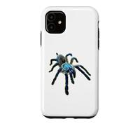 Carcasa para iPhone 11 Araña Tarántula Babuino Azul Isla Socotra (M. balfouri)