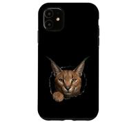 Carcasa para iPhone 11 Gráfico de Animal Caracal Wild Cat Breaking Through Torn Hole