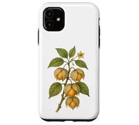 Carcasa para iPhone 11 Impresión artística Vintage botánica Physalis Nature Fruit