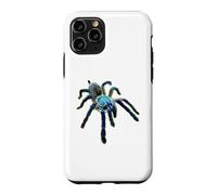 Carcasa para iPhone 11 Pro Araña Tarántula Babuino Azul Isla Socotra (M. balfouri)