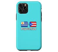 Carcasa para iPhone 11 Pro Bandera uruguaya más puertorriqueña del Patrimonio de la perfección