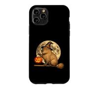 Carcasa para iPhone 11 Pro Capybara Sombrero de Bruja Jack O Lantern Calabaza Luna Escoba