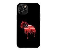 Carcasa para iPhone 11 Pro Cat American Flag USA Drip Graffiti Amante