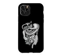 Carcasa para iPhone 11 Pro Cuerpo Humano Órganos internos Anatomía Gráfico Regalo Hombres Mujeres