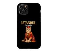 Carcasa para iPhone 11 Pro Estambul Ciudad De Gatos Tradicional Cultura Turca Otomana