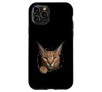 Carcasa para iPhone 11 Pro Gráfico de Animal Caracal Wild Cat Breaking Through Torn Hole
