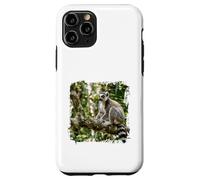 Carcasa para iPhone 11 Pro Lémur Vida Silvestre Animal Selva Bosque Árbol Rama Tropical